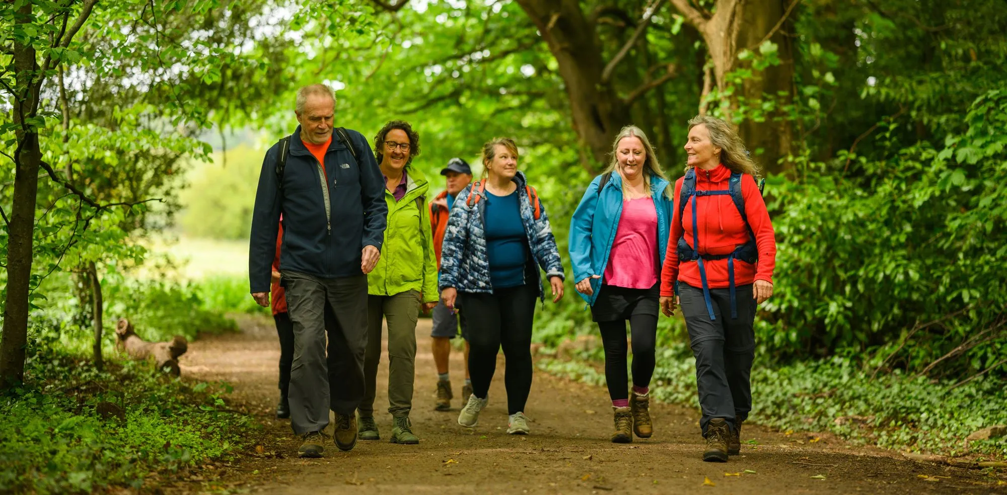Group pausing beside a birch-lined walkway at dawn.